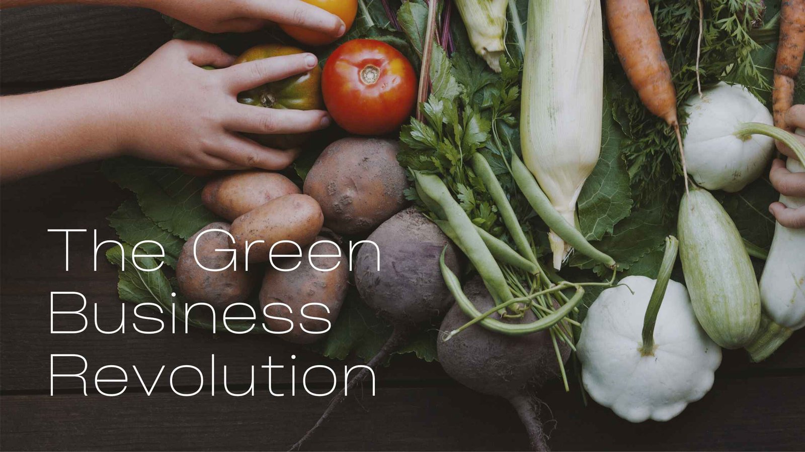 The Green Business Revolution Pioneering Sustainable Entrepreneurship